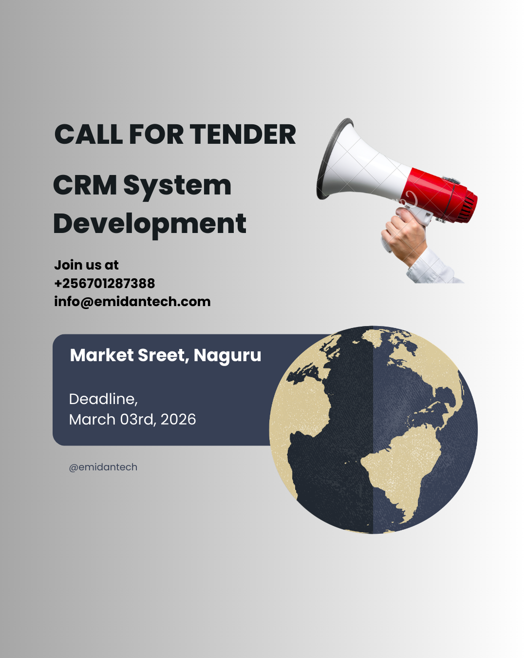 CALL FOR TENDER: CRM System Development