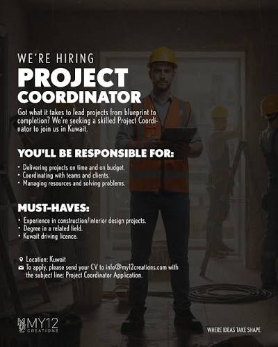 Site Installation Engineer & Project Coordinator